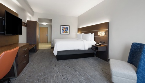 Standard Room, 1 King Bed (310 Sq Ft)