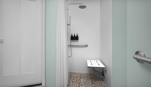 Standard Room, 1 King Bed, Accessible (Mobility, Transfer Shower)