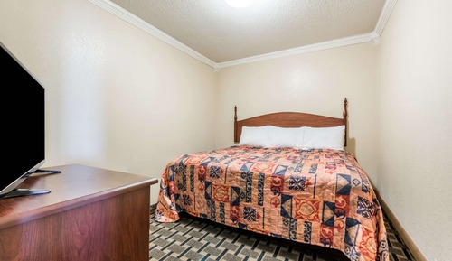 Room, 1 King Bed