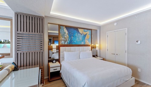 Luxury Apartment, 1 King Bed with Sofa bed, Bathtub