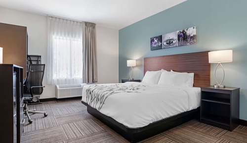 Room, 1 King Bed, Accessible, Non Smoking