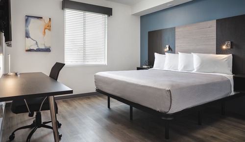 Suite, 1 King Bed with Sofa bed, Mobility Accessible