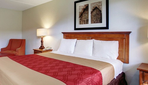Room, 1 King Bed, Accessible, Non Smoking