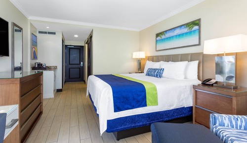 Room, 1 King Bed, City View (Wellness Room)