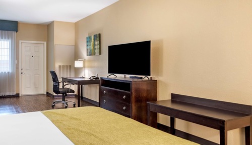 Suite, 1 King Bed, Accessible, Refrigerator & Microwave (with Single Sofabed)