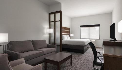 King Suite with Bath Tub and Sofa Bed - Disability Access/Non-Smoking