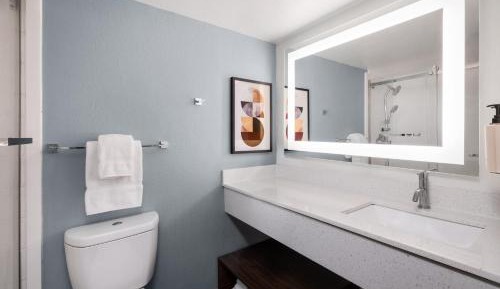 Standard King Room with Walk-In Shower
