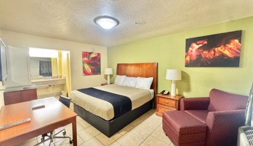 King Room