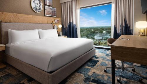 Guest room, 1 King, City view