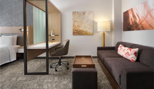King Suite with Trundle Sofa