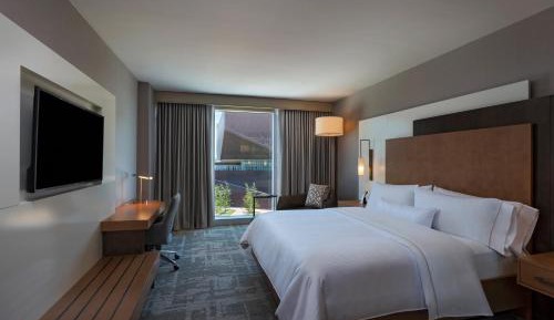 Traditional King, Guest room, 1 King