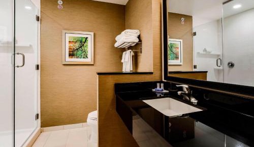 King Suite with Roll-In Shower and Sofa Bed - Mobility Access/Hearing Accessible