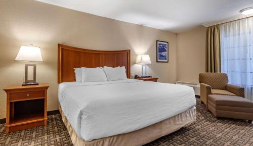 Executive King Room - Non-Smoking