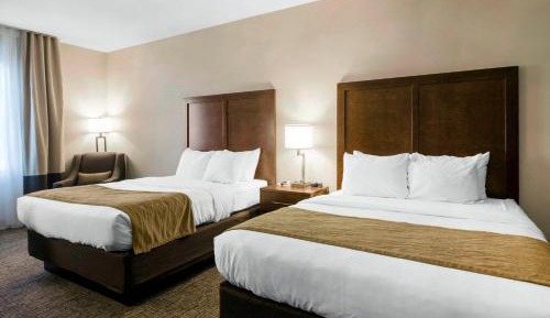 Queen Room with Two Queen Beds - Non-Smoking