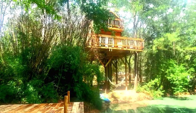 Fun for All Ages: Treehouse with Waterfront Deck for Families in Grimes County, TX